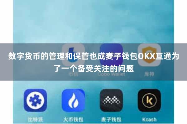 数字货币的管理和保管也成麦子钱包OKX互通为了一个备受关注的问题