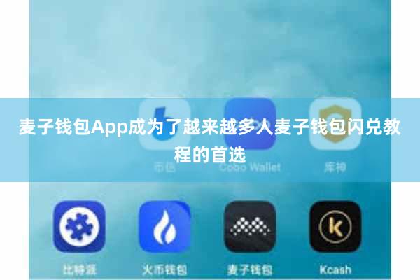 麦子钱包App成为了越来越多人麦子钱包闪兑教程的首选