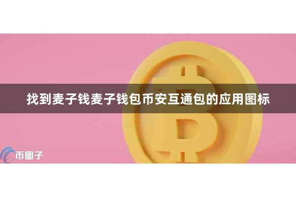 找到麦子钱麦子钱包币安互通包的应用图标