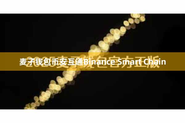 麦子钱包币安互通Binance Smart Chain