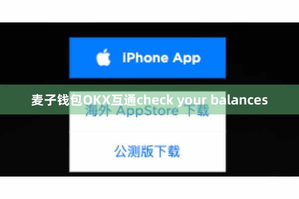 麦子钱包OKX互通check your balances