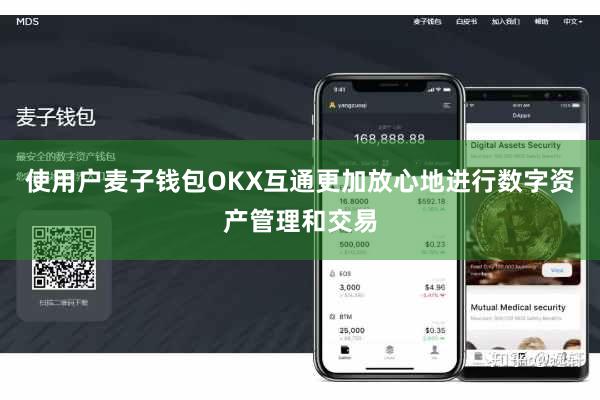 使用户麦子钱包OKX互通更加放心地进行数字资产管理和交易