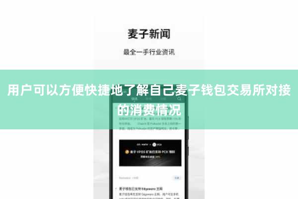 用户可以方便快捷地了解自己麦子钱包交易所对接的消费情况