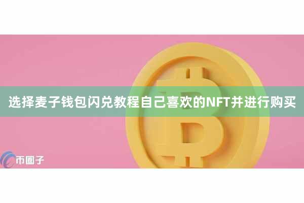 选择麦子钱包闪兑教程自己喜欢的NFT并进行购买